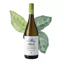 Paololeo Ecosistema Chardonnay Puglia Bio I.G.P. 0,75l thumbnail-4