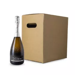 BiancaVigna Conegliano Valdobbiadene Prosecco Millesimato Brut - Magnum DOCG 1,5l 3ks thumbnail-1